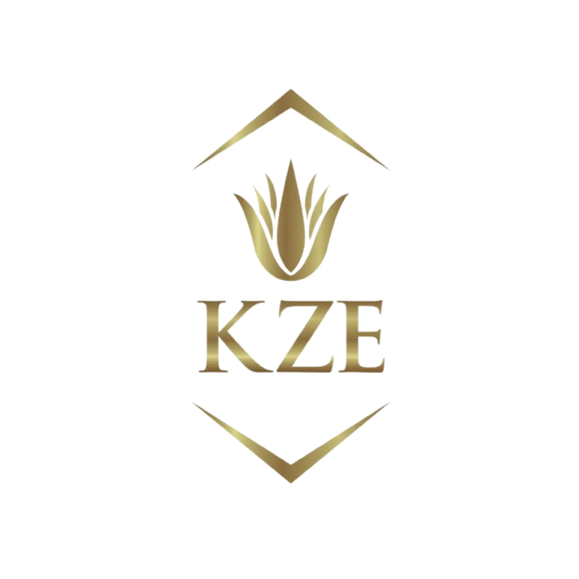 KZE Organic Beauty logo